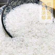 贵族五常稻花香大米农户自产自销香喷可口