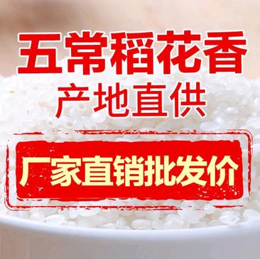 【精品推荐】贵族五常稻花香大米农户自产自销香喷可口