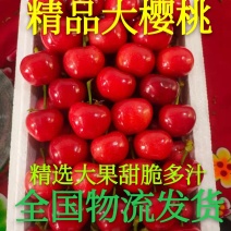 山东大樱桃大量上市，价格便宜，全国发货，樱桃