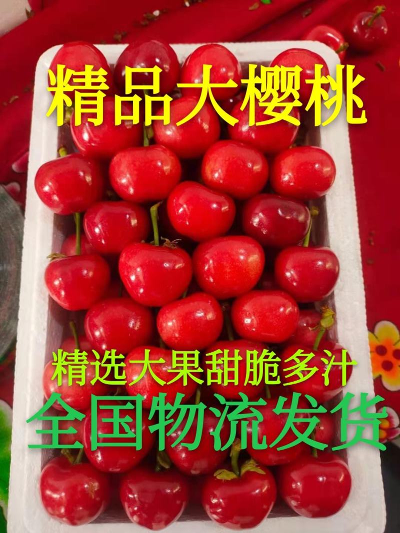 山东大樱桃大量上市，价格便宜，全国发货，樱桃