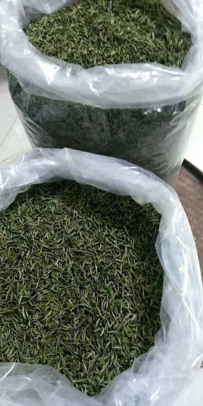 特色原产地现发黄山毛峰一手货源批发品质保证价格美丽！