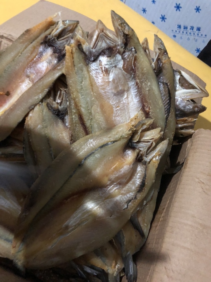 香梭鱼主刺一根大量有货一件代发诚招客商