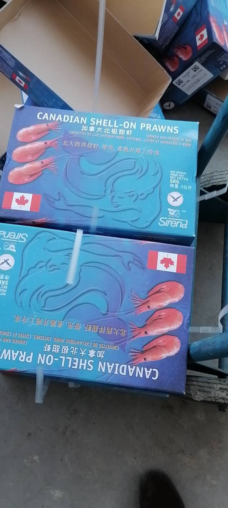 北极甜虾正官手续，监管仓出