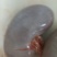 梅花鹿，鹿腰子，人工散养鹿场售卖，现杀售卖，新鲜肉质