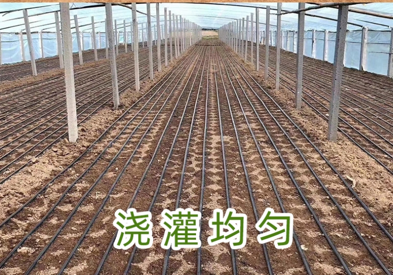 贴片滴灌带、滴灌、滴管、贴片、滴灌带、滴灌厂家