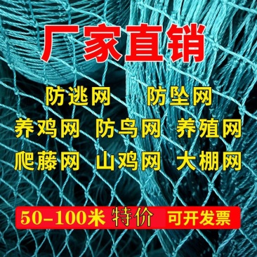 养鸡网尼龙网养殖网拦鸡网围鸡网家禽塑料网护栏网菜园围网防