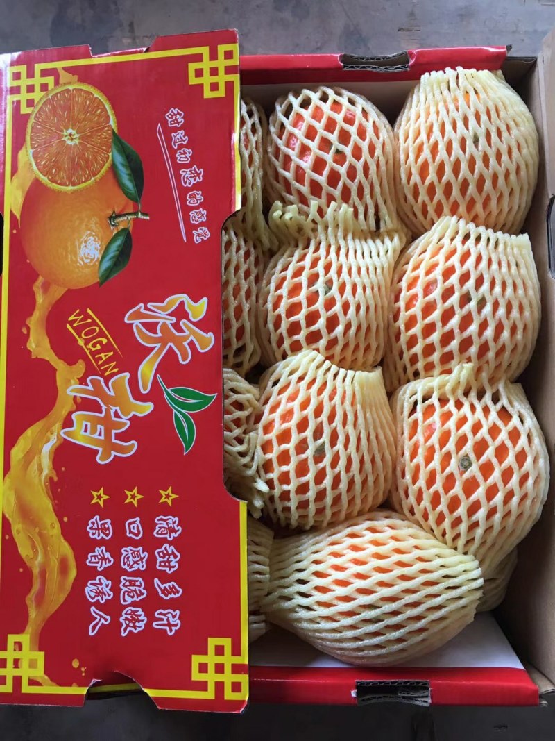 广西武鸣沃柑，工厂货，饮料果，电商，市场货等。
