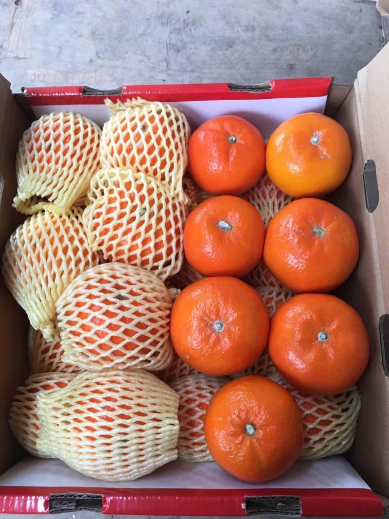 广西武鸣沃柑，工厂货，饮料果，电商，市场货等。