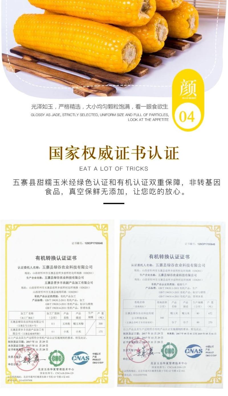 中国甜糯玉米之乡山西五寨