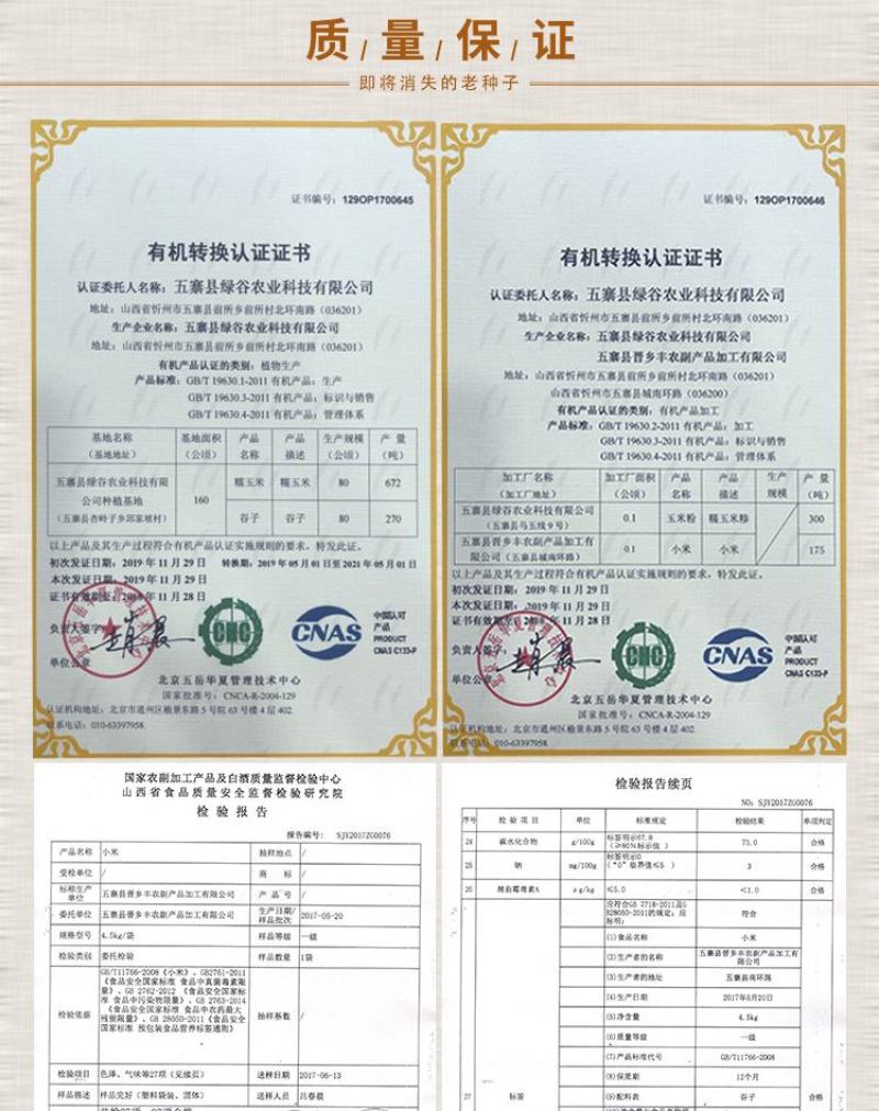 中国甜糯玉米之乡山西五寨