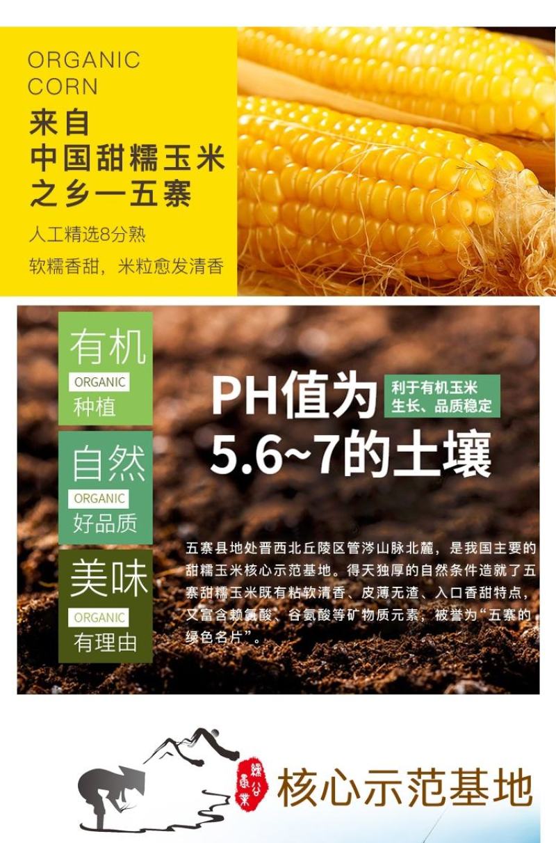 中国甜糯玉米之乡山西五寨