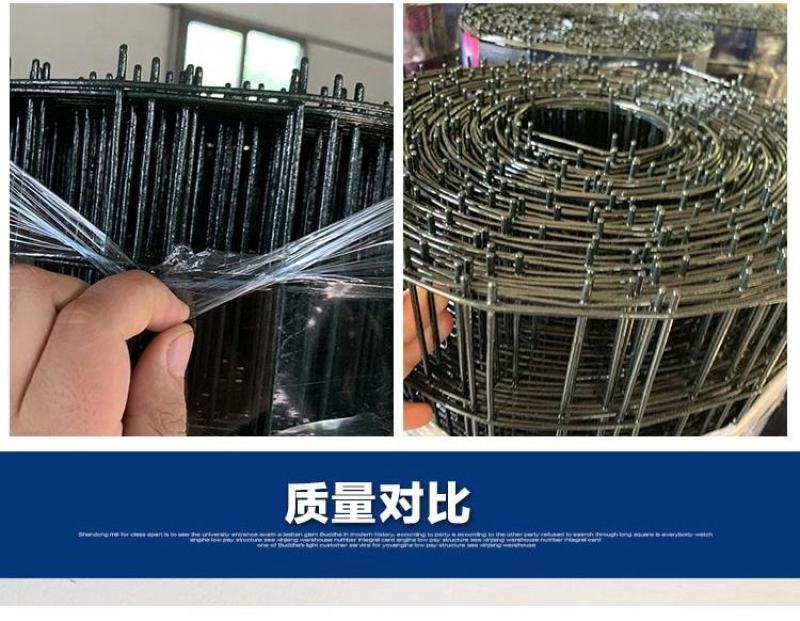 荷兰网铁丝网围网养殖网养鸡网护栏网栅栏厂家直销质优价廉