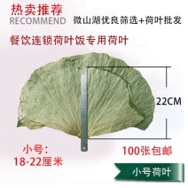 【热销】微山湖2021年新荷叶整张精品荷叶