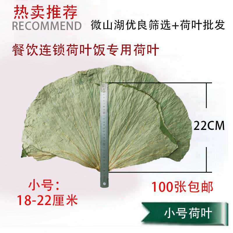 【热销】微山湖2021年新荷叶整张精品荷叶