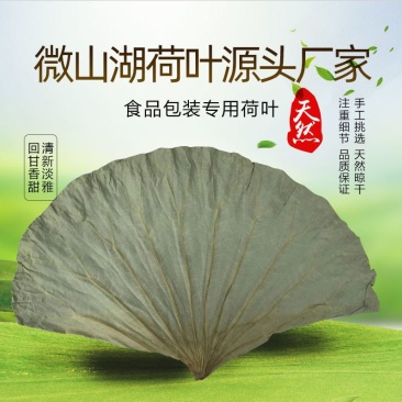 微山湖整张干荷叶荷叶饭叫花鸡糯米鸡各种规格加工定制