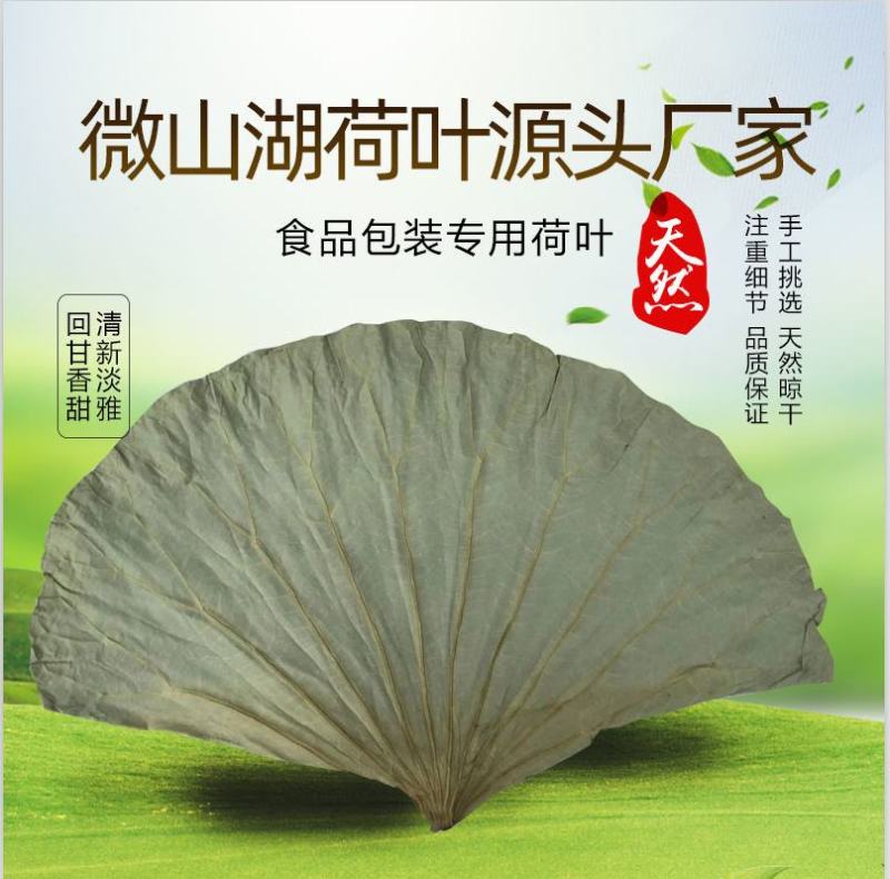 微山湖整张干荷叶荷叶饭叫花鸡糯米鸡各种规格加工定制