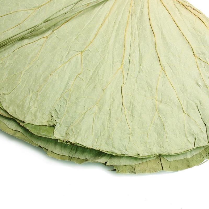 微山湖整张干荷叶荷叶饭叫花鸡糯米鸡各种规格加工定制