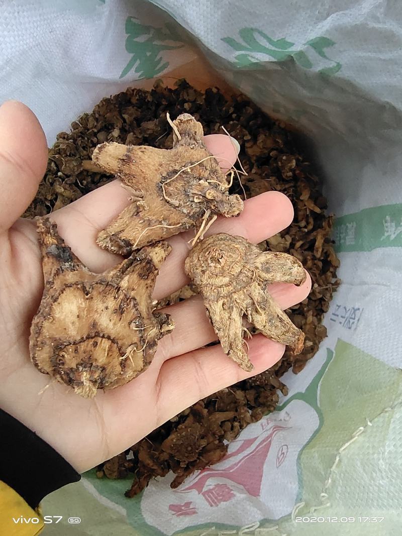 白芨，白芨干投料货零售批发