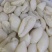 新鲜百叶茶毛肚茶香味美脆爽无渣高品质火锅食材