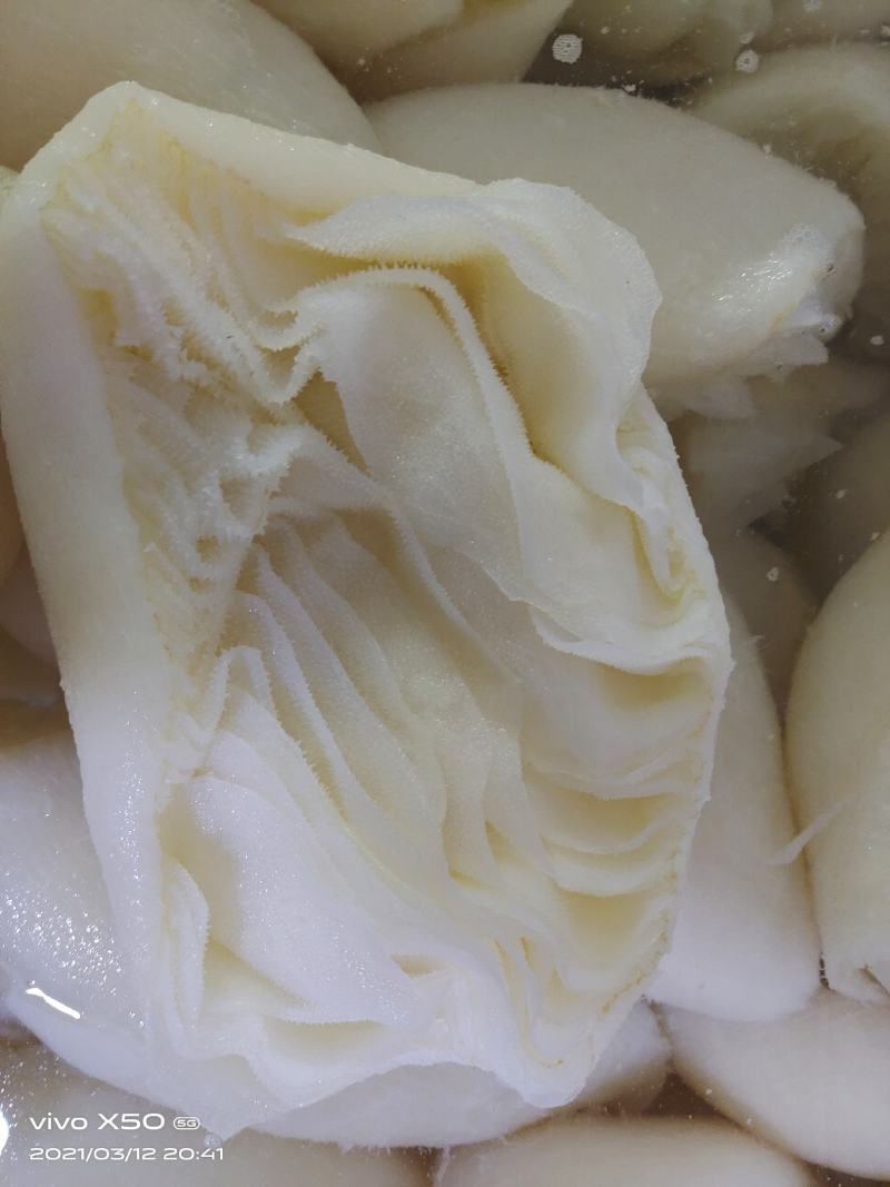 新鲜百叶茶毛肚茶香味美脆爽无渣高品质火锅食材