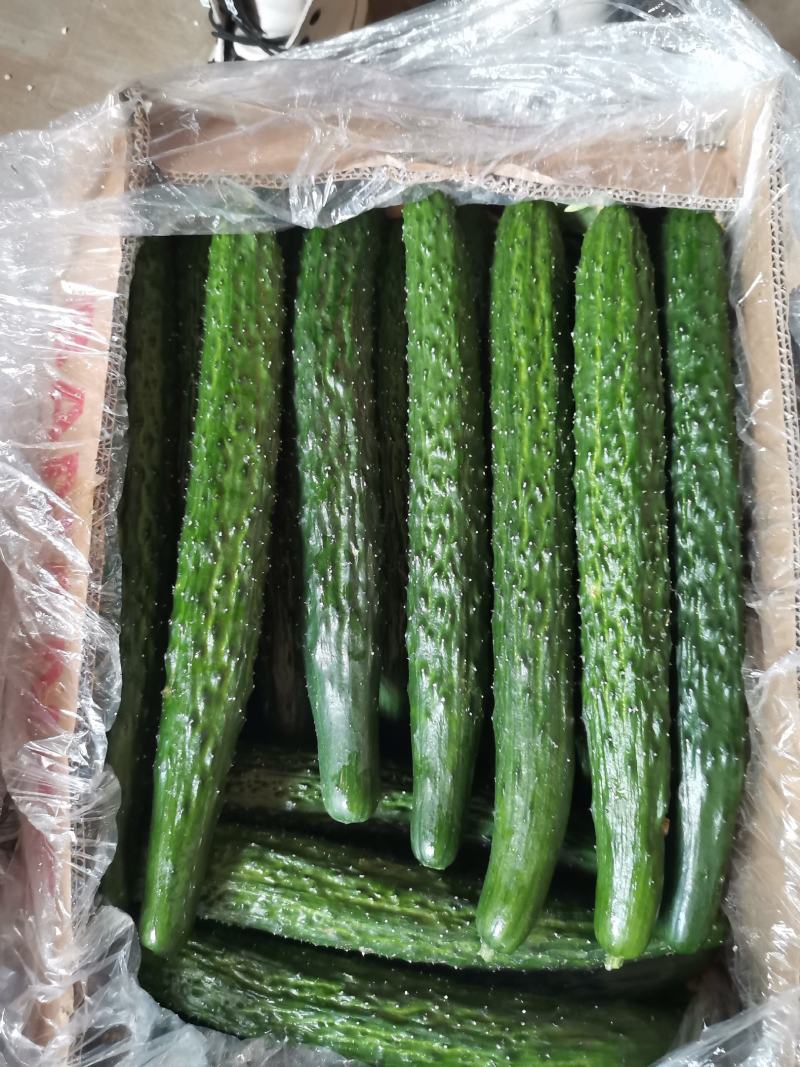 爱群蔬菜代收代销市场