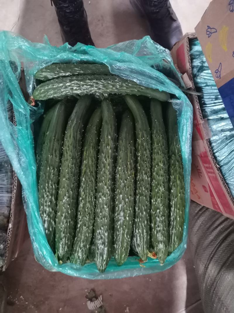 爱群蔬菜代收代销市场