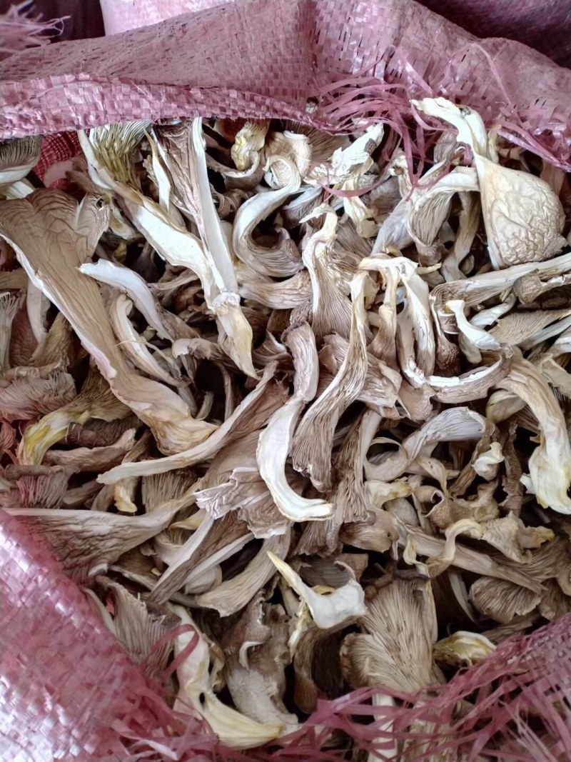 蘑菇干大量现货，按质论价