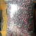 金边玫瑰批发各种无硫玫瑰花茶oem金边玫瑰