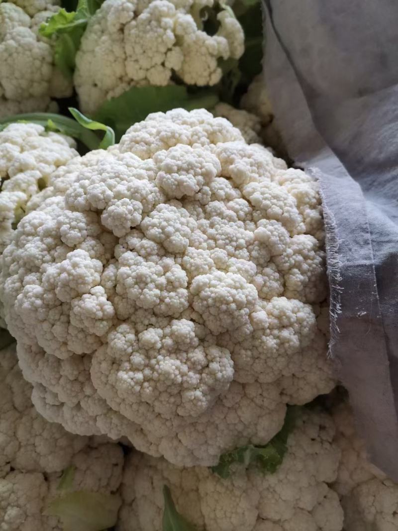 小花有机花菜，地址发全国各地，质量好品质好