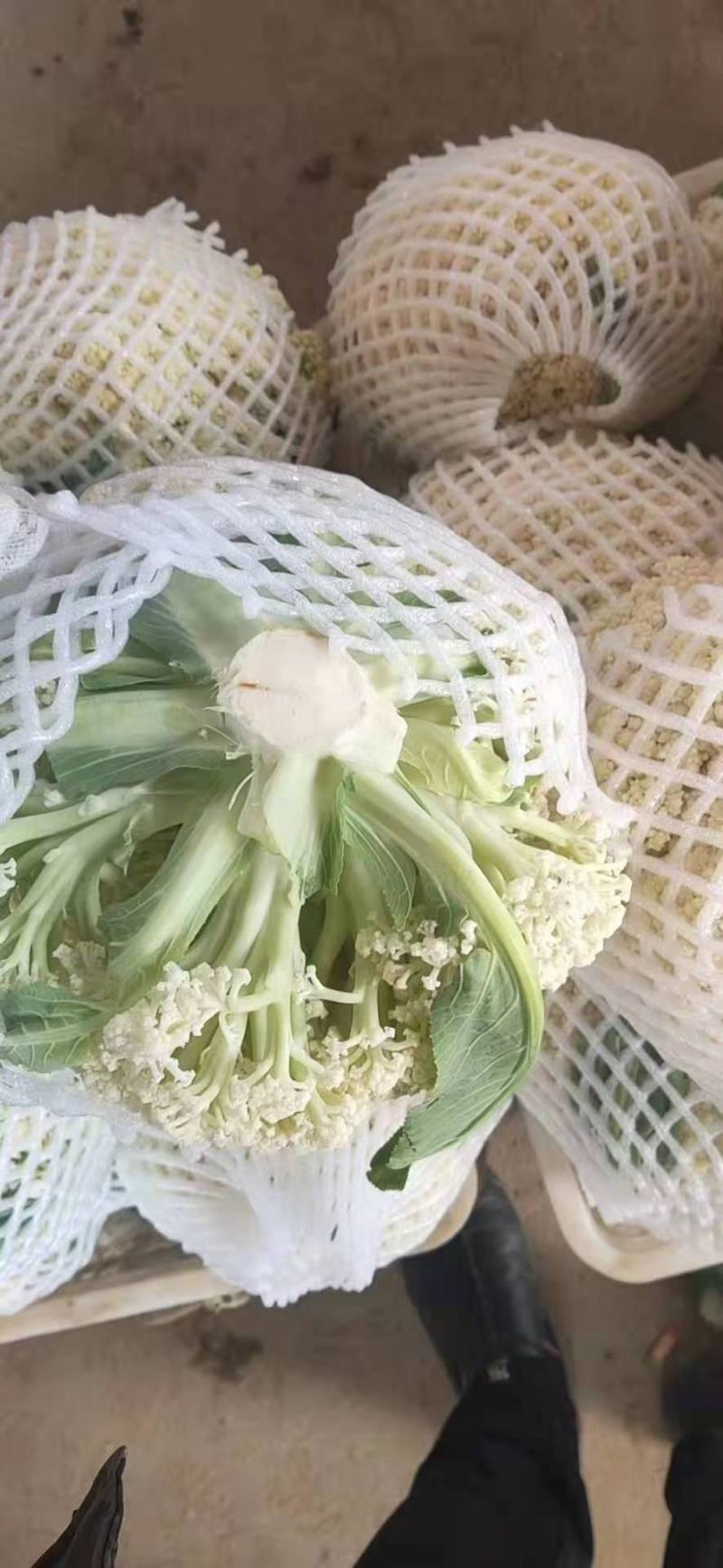 小花有机花菜，地址发全国各地，质量好品质好
