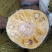 【精品】菠萝蜜新鲜直供果园现摘黄肉菠萝蜜苞大肉厚产地直发