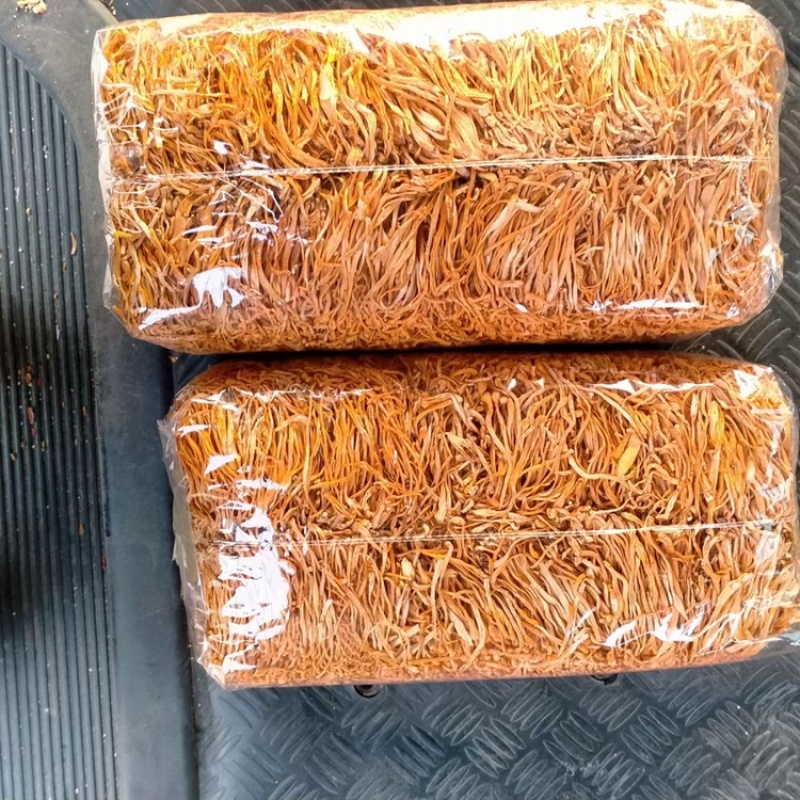 大孢子头虫草花干货新货上市产地直供北金虫草批发常年供应