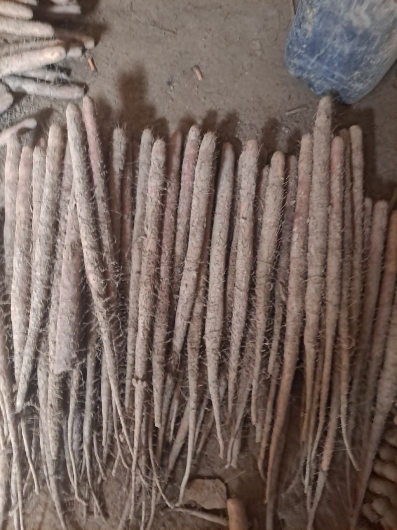 双棒山药双胞山药产地直供