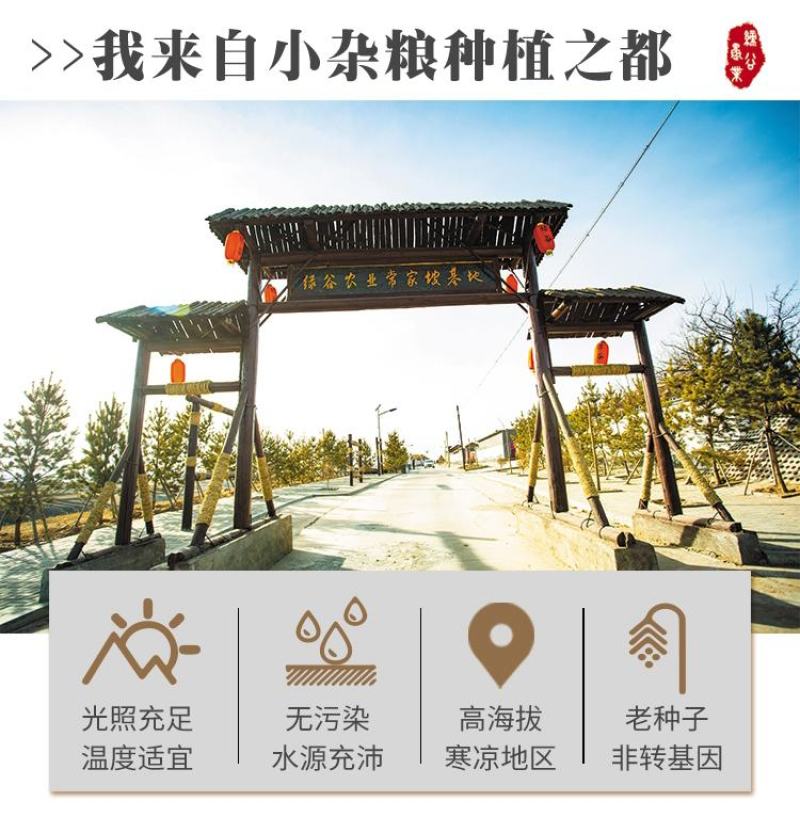 现磨五谷杂粮炒面营养代餐