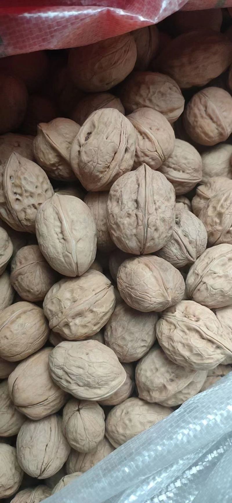 核桃，干度好个大，颗粒饱满，一手货源价格低，需要的联系！