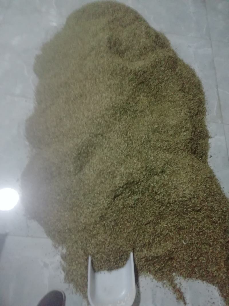 重庆城口肉独活种籽新货供应品种纯正发芽率高，
