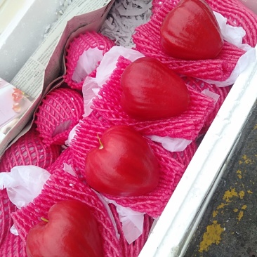 海南特产莲雾新鲜水果包邮现摘时令热带水果应当季莲雾果整箱