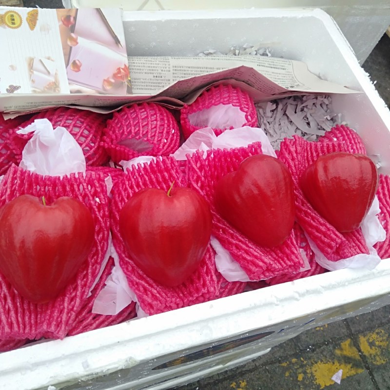 海南特产莲雾新鲜水果包邮现摘时令热带水果应当季莲雾果整箱
