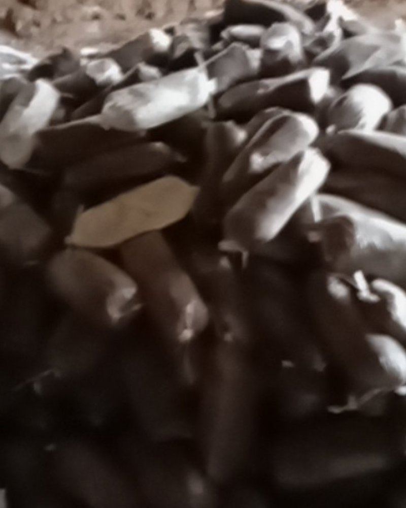 山东冠县灵芝菌棒️️，自产自销，可来我家大棚看货