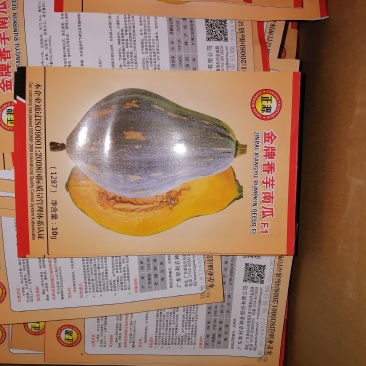 大量正品香芋南瓜种子