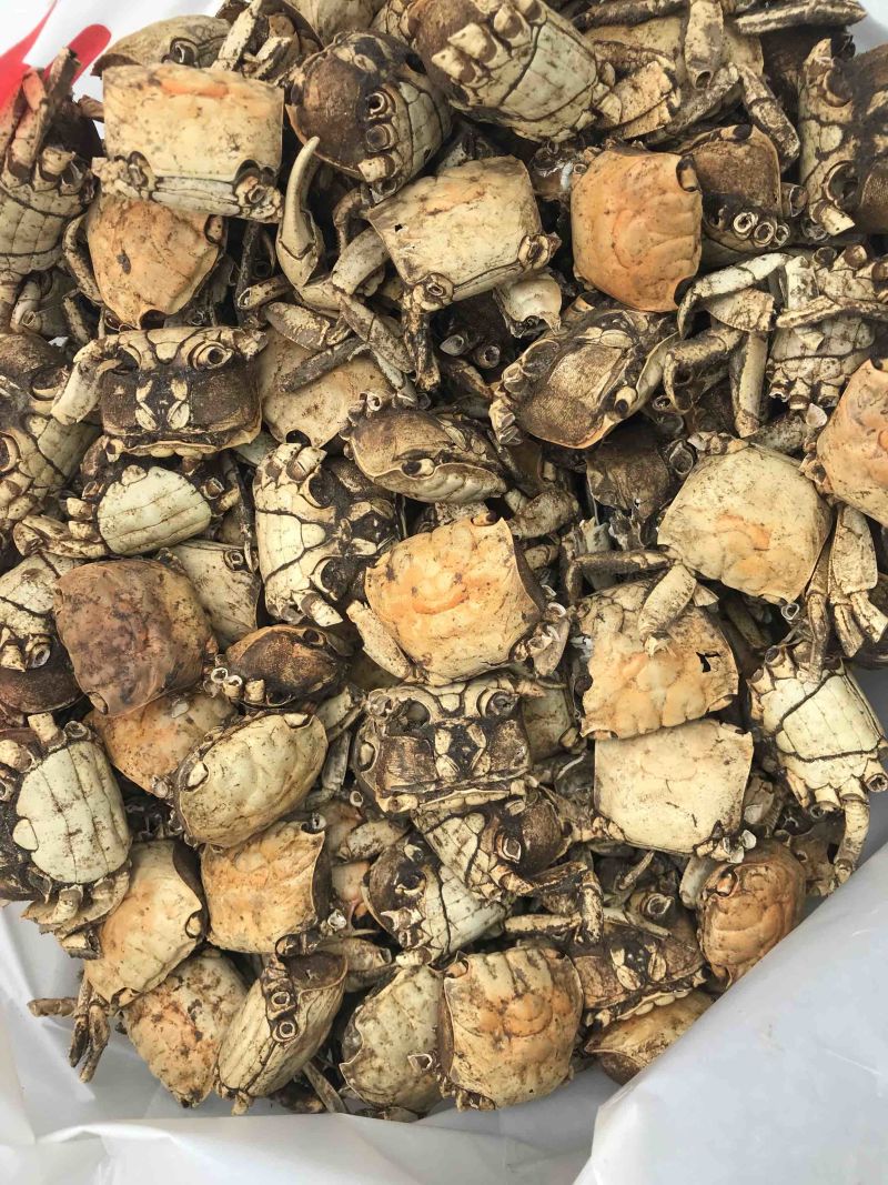 方海螃蟹干正宗江苏方海一手货源