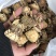 方海螃蟹干正宗江苏方海一手货源