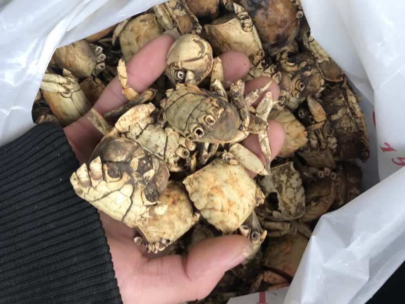 方海螃蟹干正宗江苏方海一手货源