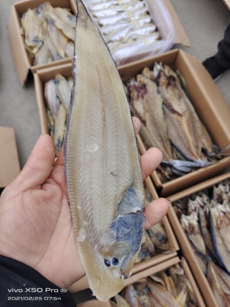 样品一斤包海米虾皮虾等各种海产品包邮看样品