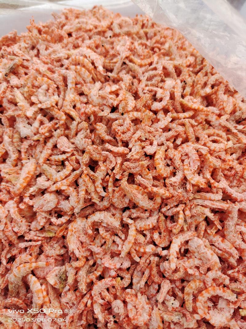 样品一斤包海米虾皮虾等各种海产品包邮看样品
