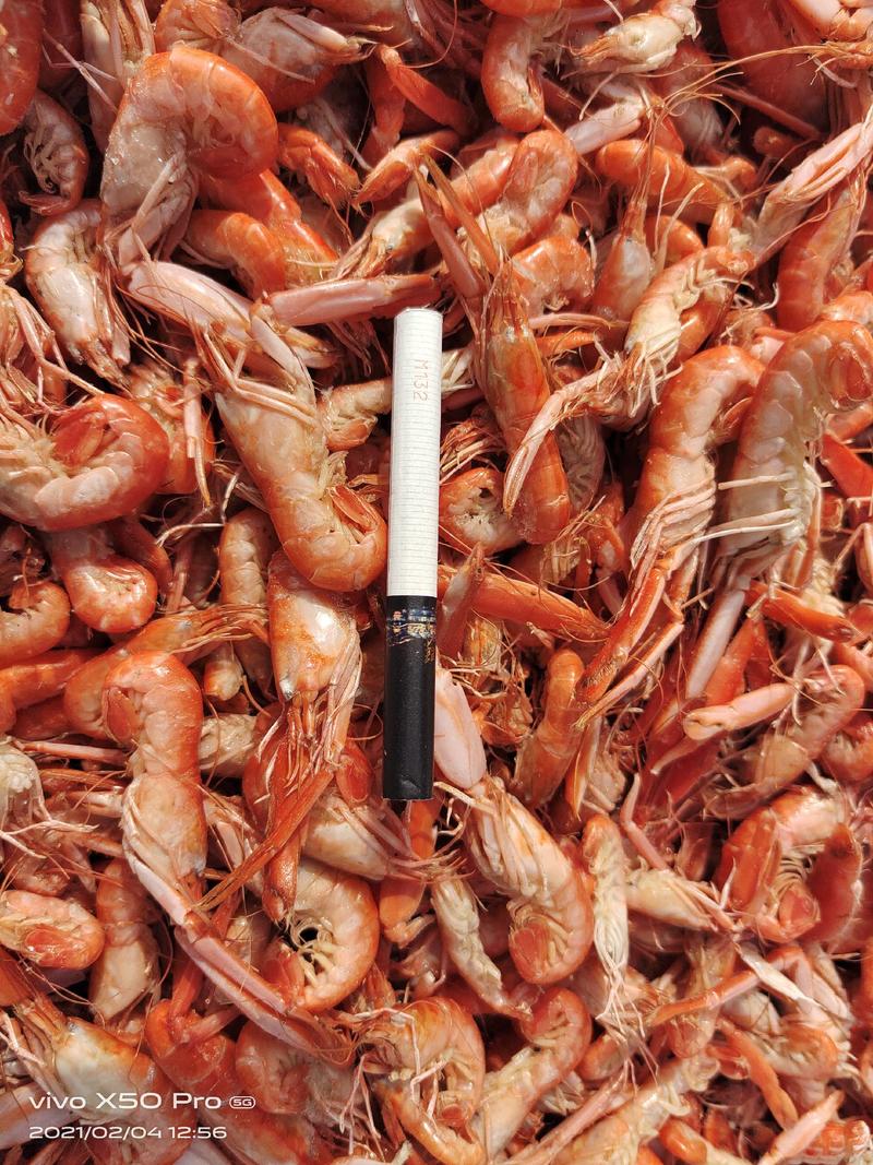 样品一斤包海米虾皮虾等各种海产品包邮看样品