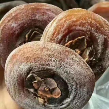 恩施柿饼（批发，零售，代理，不需囤货，支持）
