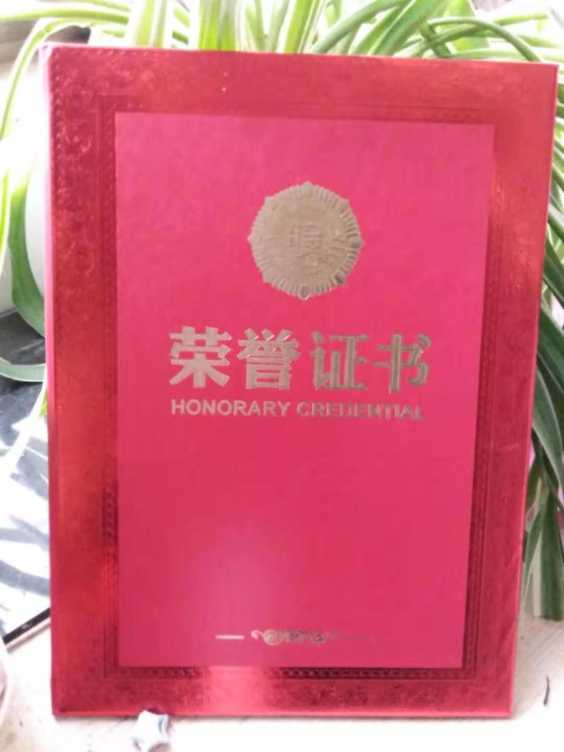 商薯19红薯苗25~35cm
