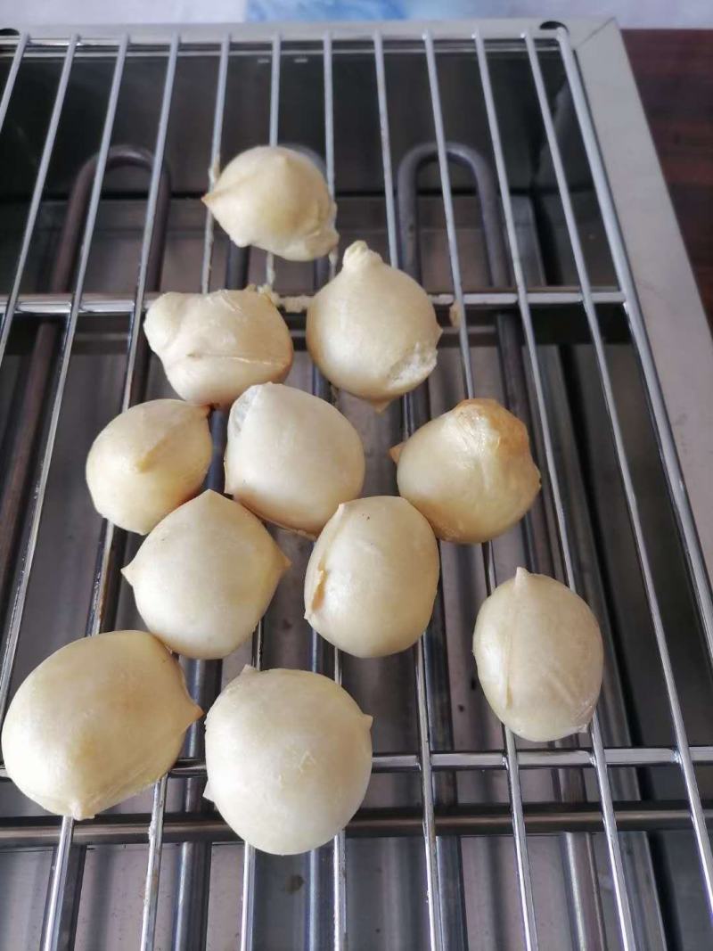 包浆豆腐生产批发欢迎订购