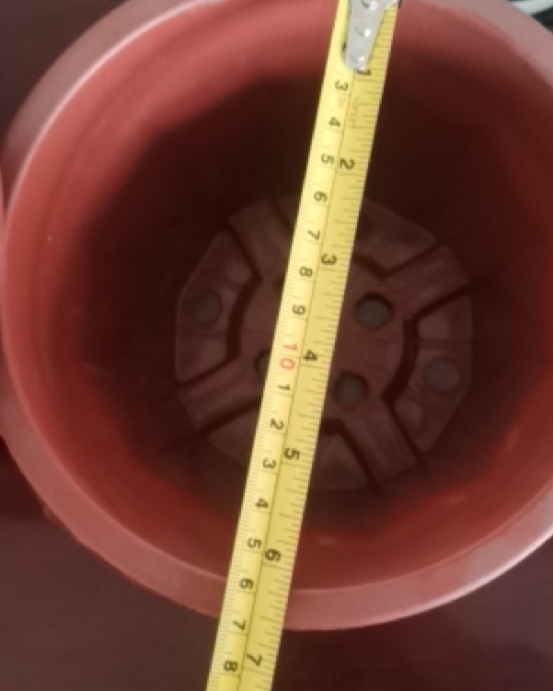利达塑料高角花盆厂家直销各种型号质量保证包邮到镇内径为准